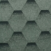 cvetD